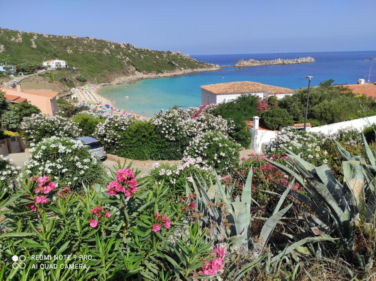 B&B Domus De Janas Santa Teresa Gallura Kültér fotó