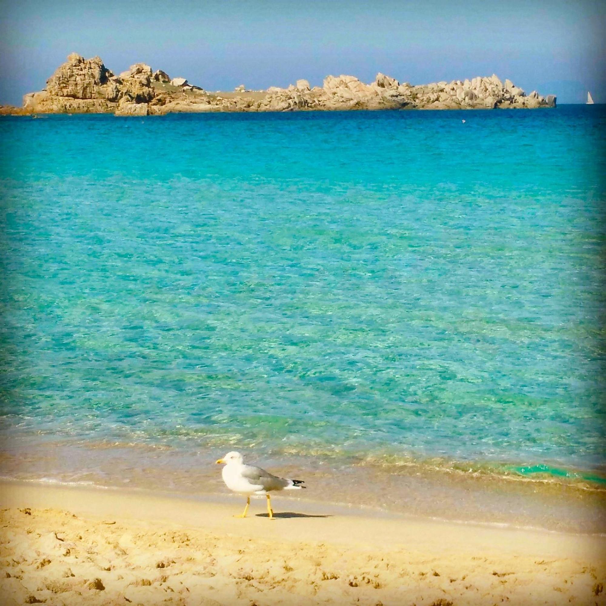 B&B Domus De Janas Santa Teresa Gallura Kültér fotó